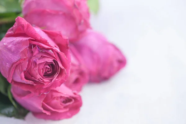 Прекрасный яркий букет роз — стоковое фото