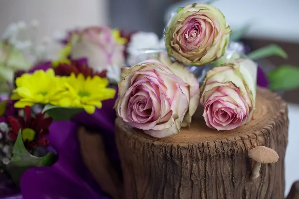 Hermosa decoración de flores en el tocón del árbol . —  Fotos de Stock