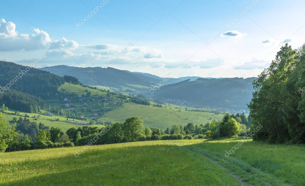 Rural sunny landscape with forest. Landscape in the Slovak Republic meadows and forests