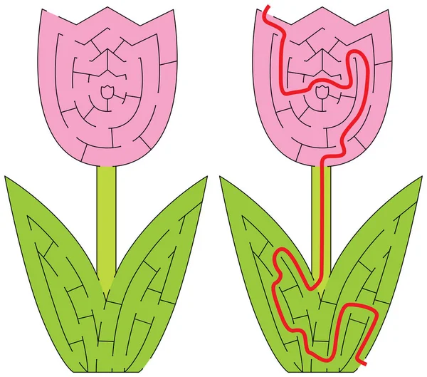 Snadné Tulipán bludiště — Stockový vektor