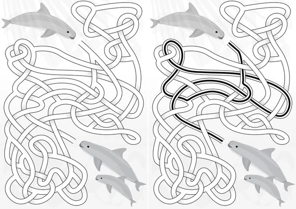 Labyrinthe de vaquita illustré — Image vectorielle