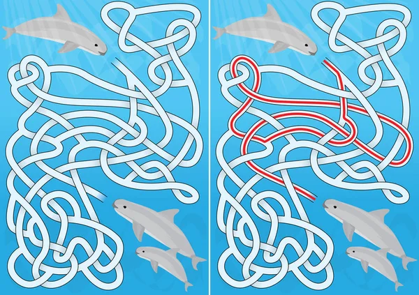 Labyrinthe de vaquita illustré — Image vectorielle