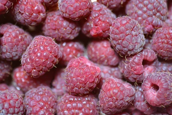 Frambuesas frescas de cerca — Foto de Stock