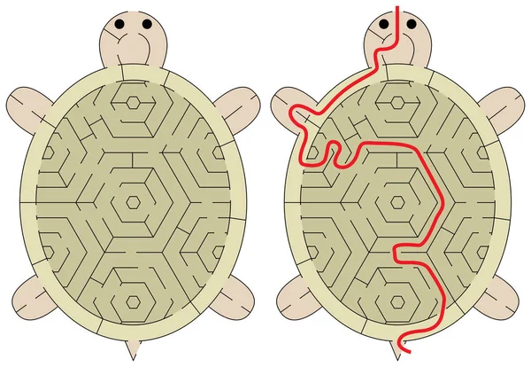 Species of marsh turtle Vector Art Stock Images | Depositphotos