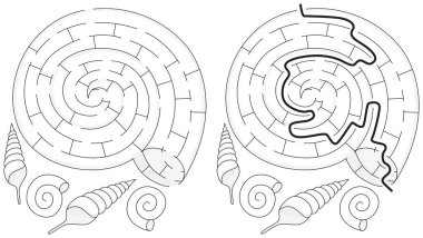 Kolay kabuk labirent