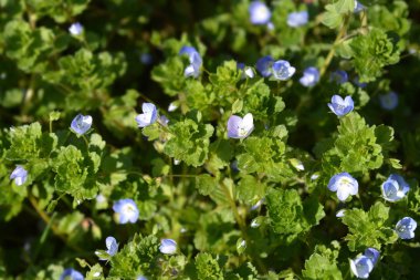 Bireye hız yapıyor.