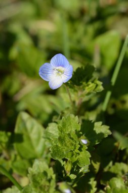 Bireye hız yapıyor.