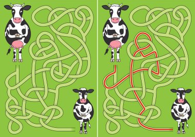 İnek ve buzağı labirenti