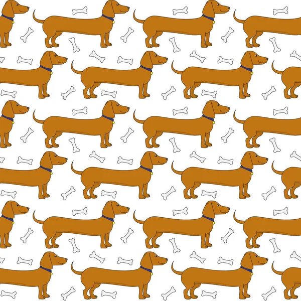 Padrão Sem Costura Feito Desenhos Animados Ilustrados Dachshunds Branco —  Vetores de Stock