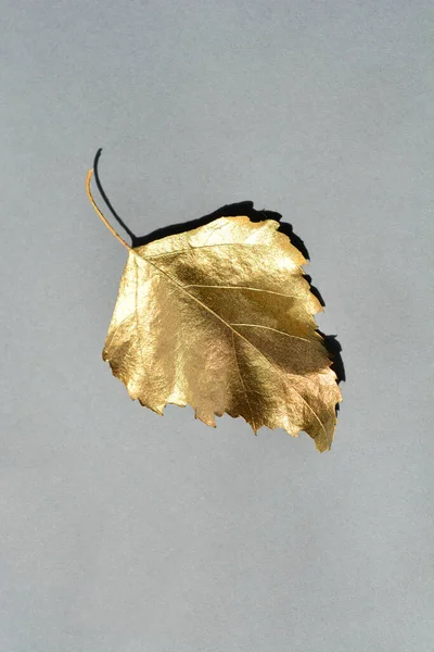 Gold Colored Leaf Gray Paper Background — Stock Photo, Image