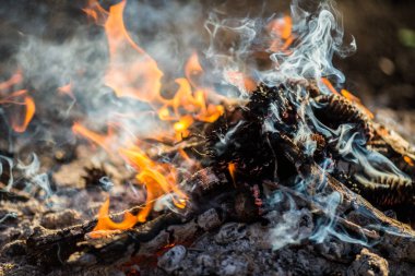 Parlak sıcak alev yanan orman ateşi.
