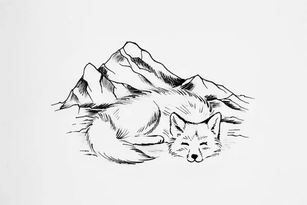 Arctic fox sleeps on a background of high mountains. — Stock Photo, Image