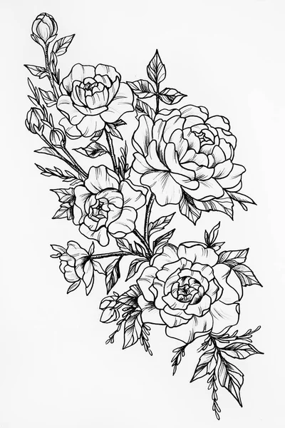 Fekete-fehér vázlat a három gyönyörű Rózsa. — Stock Fotó