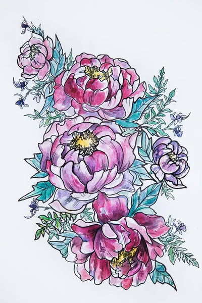 Sketch of beautiful blooming peonies on a white background.