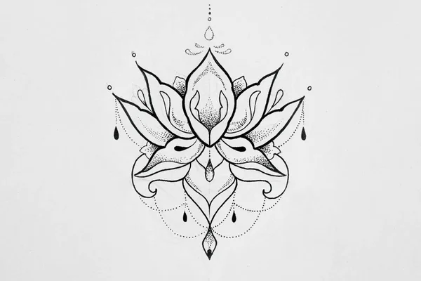 Croquis d'un lotus sur fond blanc . — Photo