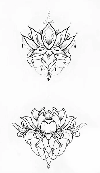 Sketch of a lotus on white background.