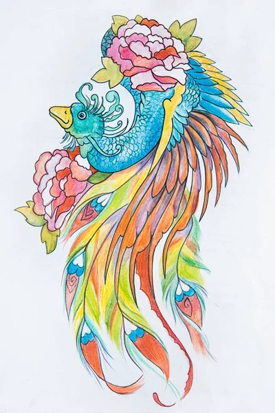 Schets van de mooie peacock op een witte achtergrond. — Stockfoto