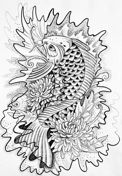 Sketch of Japanese carp white background. — Stock Photo, Image