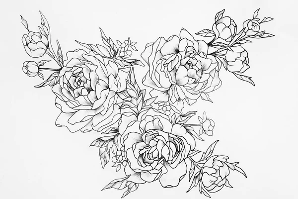 Bosquejo en blanco y negro de tres hermosas rosas . —  Fotos de Stock
