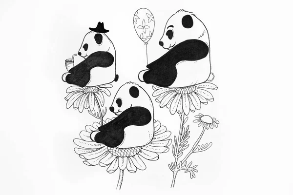 Ескіз милої панди на білому тлі . — стокове фото