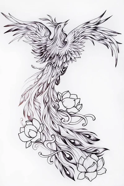 250 Simple Phoenix Tattoo Designs Silhouette Illustrations RoyaltyFree  Vector Graphics  Clip Art  iStock
