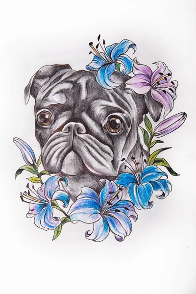Sketch of Pug in flowers on a white background