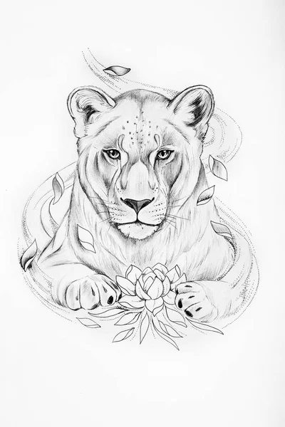 Sketch of lion with a lotus on white background. Stock Picture
