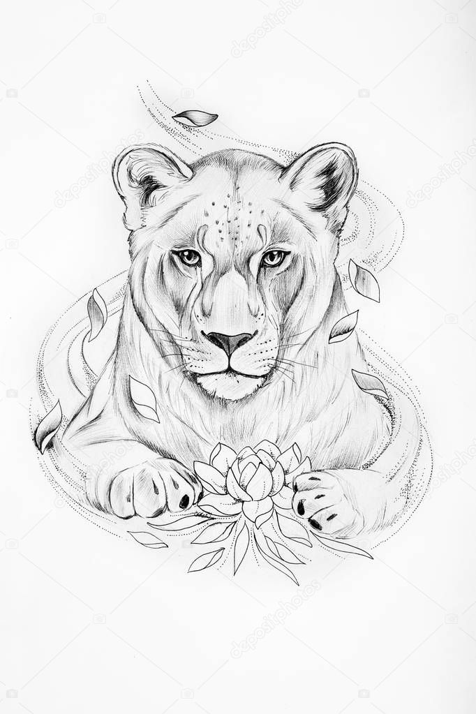 Sketch of lion with a lotus on white background.