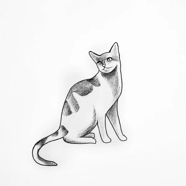 草绘的白色背景上只漂亮的猫. — 图库照片