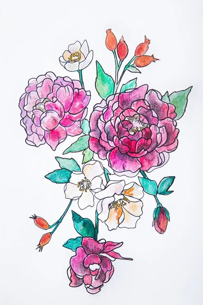 Sketch of a red peony on a white background.