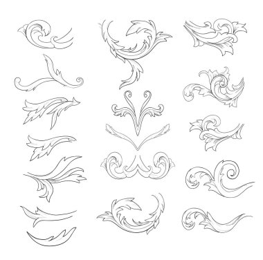 Beyaz bir arka plan üzerinde çiçek bileşenlerinin grafik kroki.