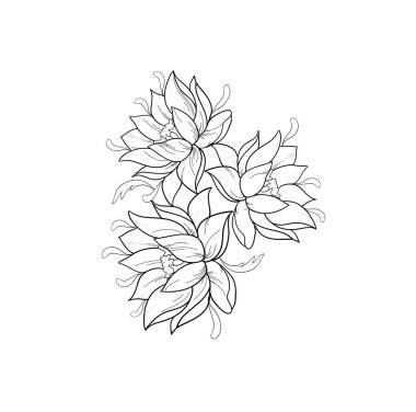 Graphic sketch of lotuses in ornament on a white background. clipart