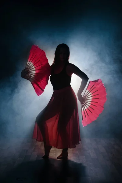 Bella silhouette di una ragazza che danza elegantemente in fumo e nebbia . — Foto Stock