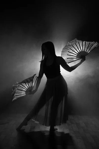 Bella silhouette di una ragazza che danza elegantemente in fumo e nebbia . — Foto Stock