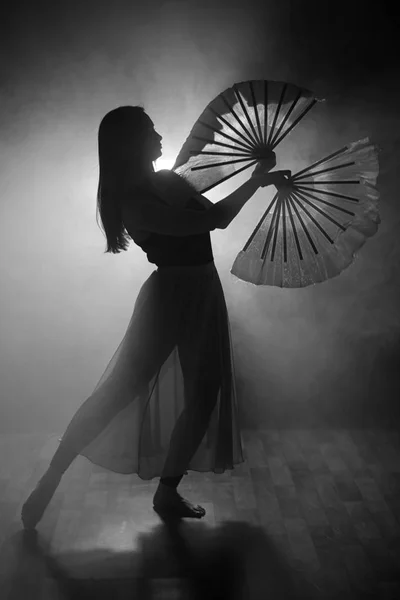 Bella silhouette di una ragazza che danza elegantemente in fumo e nebbia . — Foto Stock