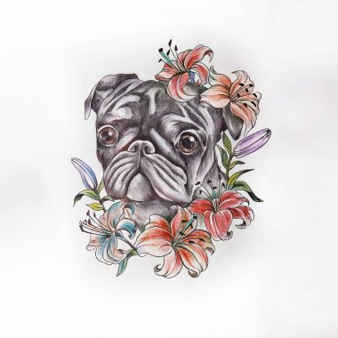 Pug taslağını beyaz bir arka plan üzerinde çıtır