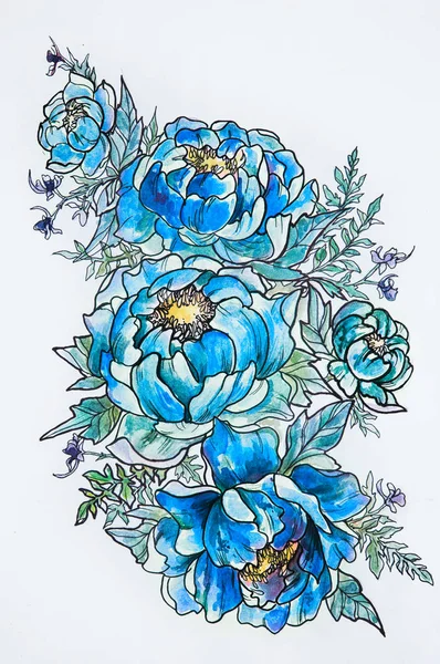 Sketch of beautiful blooming peonies on a white background.