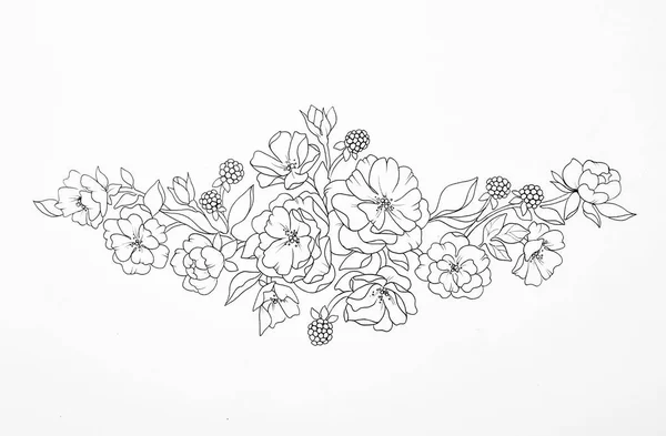 Sketch of a beautiful flowering branch on a white background. — Stock Photo, Image