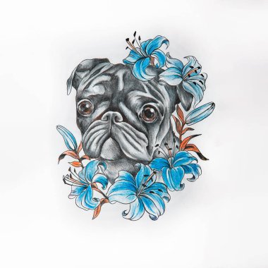 Pug taslağını beyaz bir arka plan üzerinde çıtır