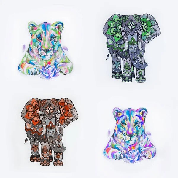 Conjunto de bocetos de león y elefante sobre fondo blanco . — Foto de Stock