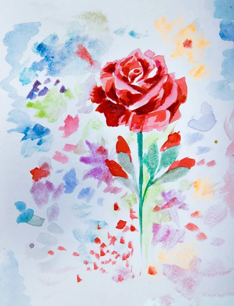 A sketch of a watercolor beautiful rose in watercolors on a white background. — Stock Photo, Image
