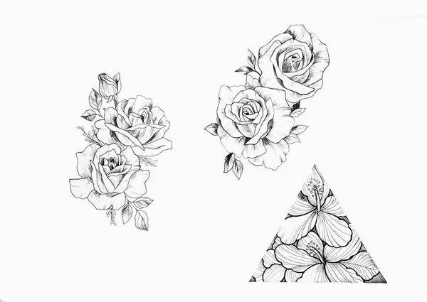 Esboço de ramos belas rosas e triângulo com flores no fundo branco . — Fotografia de Stock