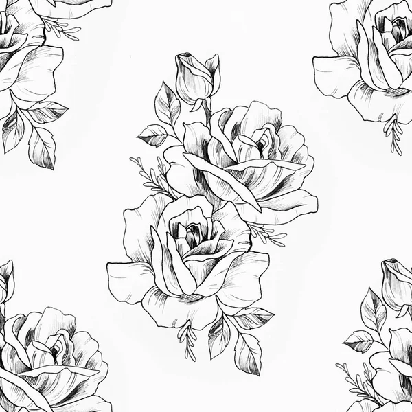 Seamless pattern of a branch of beautiful roses on a white background. — Stock Photo, Image