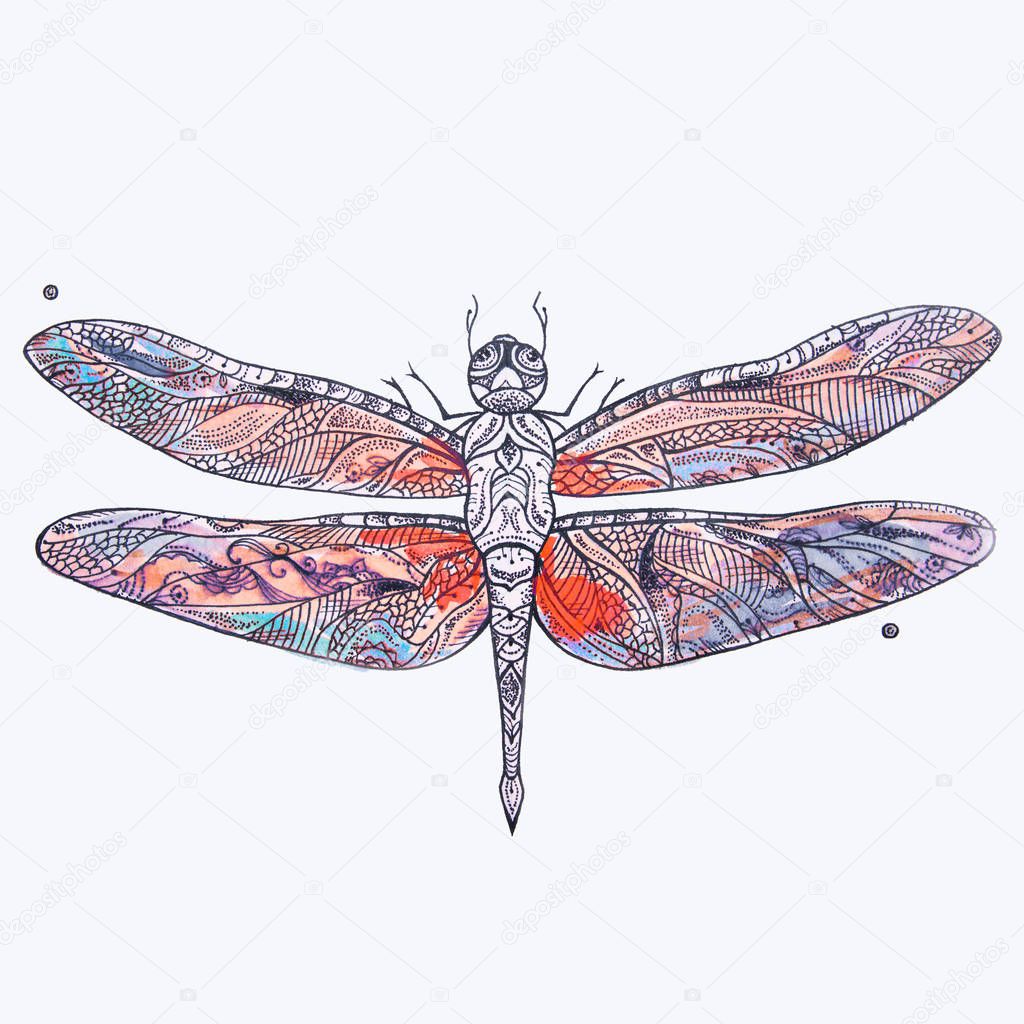 Sketch of a beautiful red dragonfly on a white background.