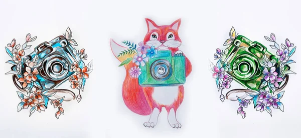 En uppsättning skisser kamera och en fox fotograf på en vit bakgrund. — Stockfoto