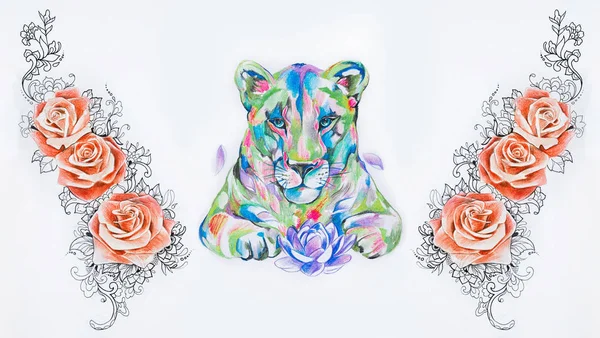 Conjunto de esboços de um leão e rosas com padrões em um fundo branco . — Fotografia de Stock