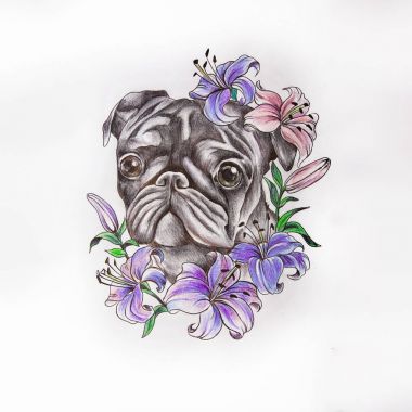 Pug taslağını beyaz bir arka plan üzerinde çıtır