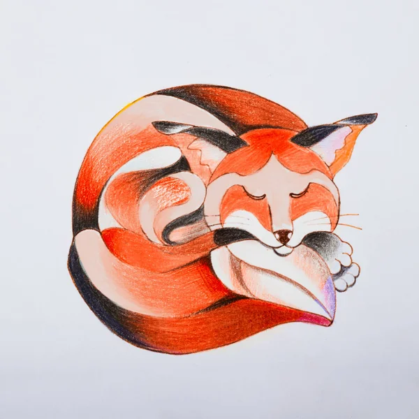 Sketch of a fox which curled up and asleep. — Stock Photo, Image