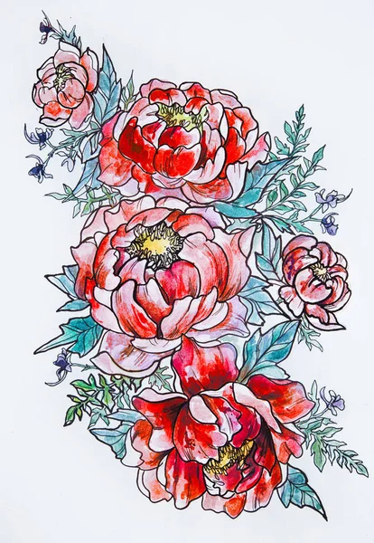 Sketch of beautiful blooming peonies on a white background.