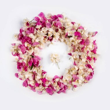 Rose hips arka plan. Bir gül üzerinden çiçek doku. Kır çiçekleri bir daire.